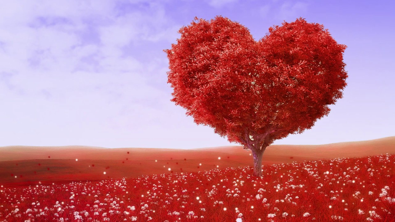 Beautiful Red Flower Hearts Background Royalty Free Freecdr Youtube