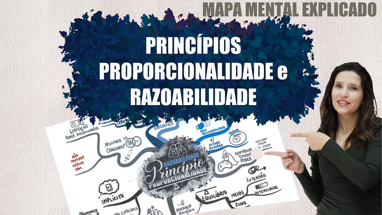 DIREITO ADMINISTRATIVO - Princípios da Proporcionalidade e ...