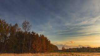 14173798-uhd_3840_2160_25fps