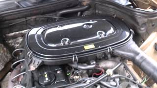 MOV 0194