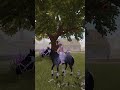 Mini édit avec un pc qui rame😂( non ce n'est pas ça les édits dont je vous ai parler XD#horses#édits