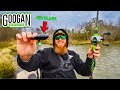 NEW Googan Squad REVOLVER Catches BIG Bass (Pond Fishing)