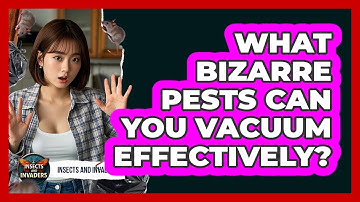 What Bizarre Pests Can You Vacuum Effectively? - Insects and Invaders