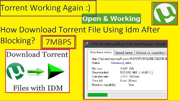 How To Download Torrent File in Idm After Blocking Issue. |Torrent Working Again|