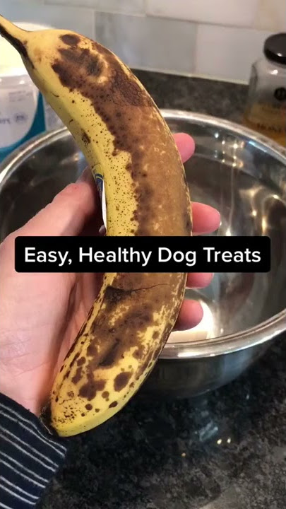 Stupid Simple 4 Ingredient Dog Treats