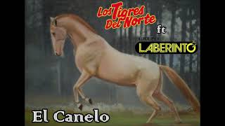 El Canelo-Los Tigres Del Norte Y Grupo Laberinto