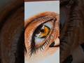 Realistic Eye Drawing Tutorial#| Amazing Colored Pencil Art #shorts#youtubeshorts#
