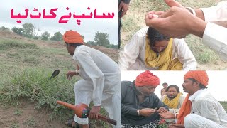 Cobra Snake Bites The Jogi Trying To Catch For The Protection Of Farmers Naag Jogi Holistic100