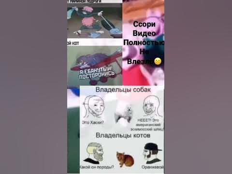 Мемасик#мемасик - YouTube