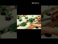 “Farming Without Soil? 😱 Hydroponics Explained in 20 Sec!”#hydroponics #viral #ytshorts #farming