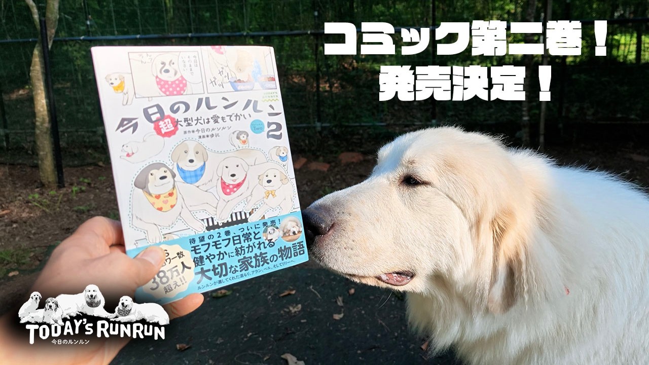 今日のルンルンコミック第2巻の発売が決まりました！ | 今日のルンルン