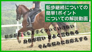 お悩み解決「駈歩の継続のコツ」について　エルミオーレ豊田　神戸支部所属【下山インストラクター＆アレク】