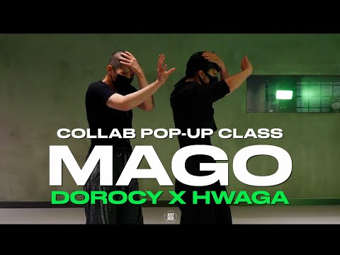 DOROCY X HWAGA Class | LIM KIM - MAGO | @justjerkacademy ewha