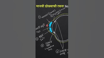 मानवी डोळ्याची रचना - by Ajit Chahal #mpsc #combined #mpscprepration #mpsc2023 #samanyavidnyan