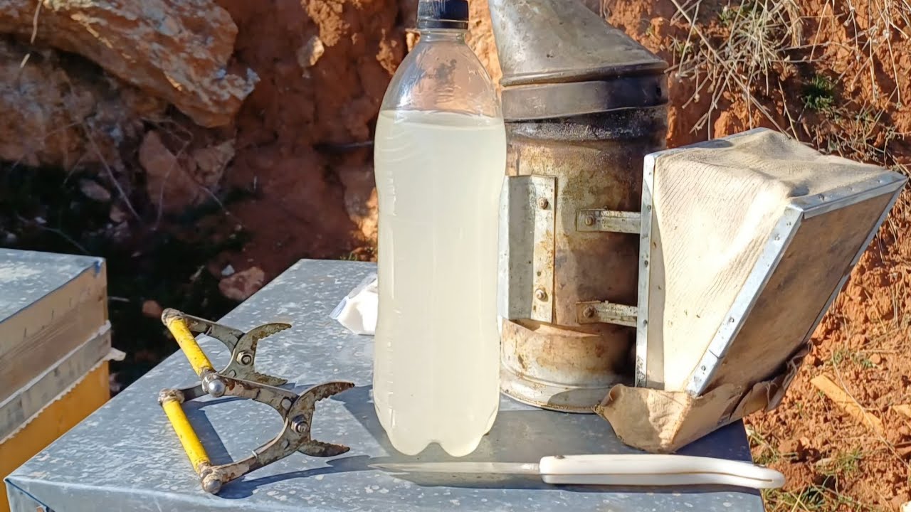 ARI BAKIMI 2025#ilk arı bakımı çok önemli oksalid asid uygulaması fondon kek verme işlemi#arıcılık