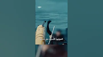 طوربيدات القارعة الحوثية المسيرة 