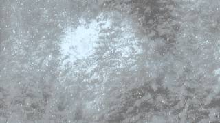 Forest Flurry - HD Video Background Loop