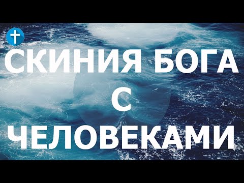 Видео: Бид үрэлтгүй алхаж чадах уу?