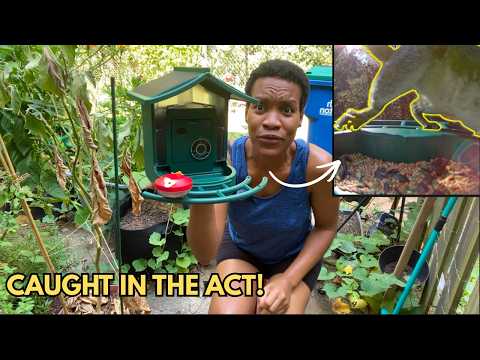 I Put up a Smart Bird Feeder With Camera and Couldn't Believe What I SAW! (Container Gardening)