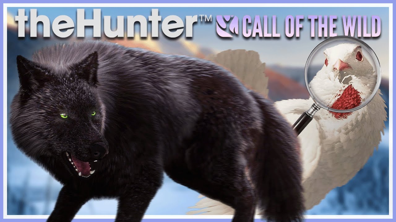 VERY RARE ATTACK + MORE on Askiy Ridge - theHunter Call of the Wild ...