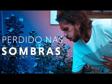 Vídeo: Como Tomar Ayahuasca Me Ajudou A Ser Uma Mãe Melhor - Matador Network