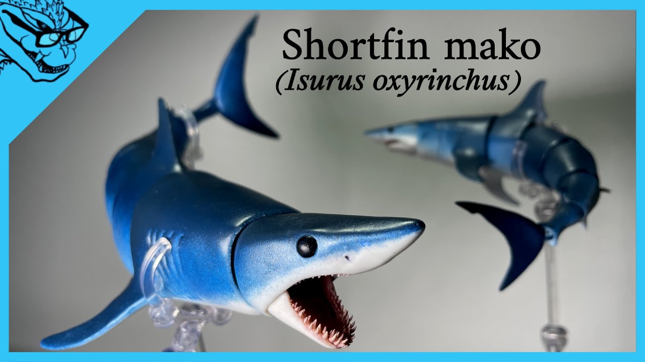 Shortfin mako shark (3D printed figure showcase)