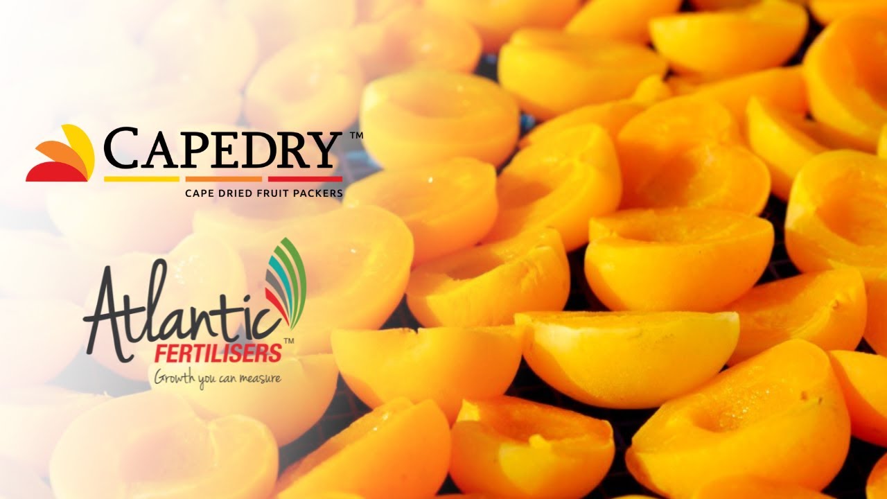 Cape Dried Fruit Packers & Atlantic Fertilisers Growth You Can