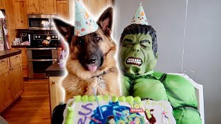 Sniper’s First Birthday Party With Hulk And Friends!