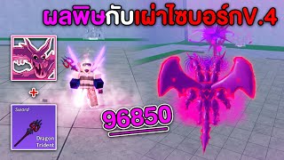 ตบค่าหัว 30M ด้วย ผลพิษ+เผ่าไซบอร์กV.4 โกงแต่ทำไมคนไม่เล่น!?! (Blox Fruits)