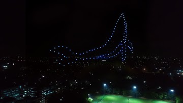 IIT Delhi Drone Show | BotLab Dynamics