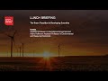 The Green Transition in Developing Countries