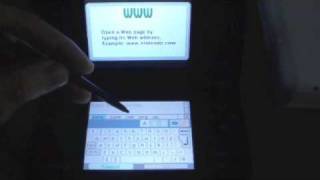 Nintendo DSi Browser