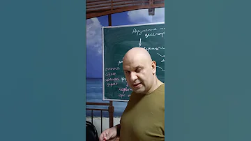 Вторая часть. Физиологический фактор персеверации (заторможенности)