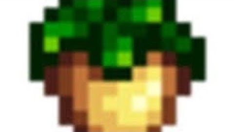 Parsnip% speedrun stardew valley