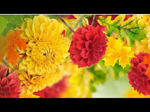 С Днем Рождения! Яркое Красивейшее Поздравление С Днем Рождения!