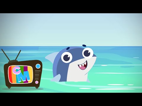 Ricky Rechinașul -