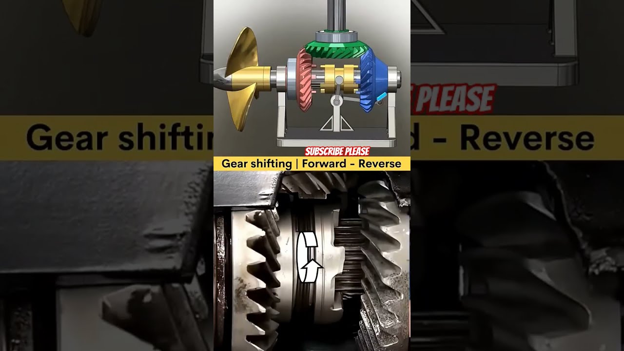 Gear Shifting Forward To Reverse Motion