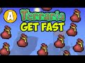 Terraria How To Get Vicious Powder (2024)