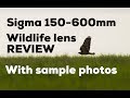 Sigma 150-600mm Contemporary Review, Key points with example images. Awesome Wildlife lens!