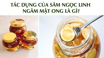 TÁC DỤNG CỦA SÂM NGỌC LINH NGÂM MẬT ONG LÀ GÌ?