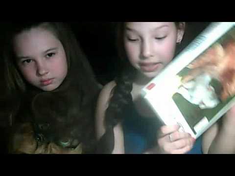 О корме Royal Canin