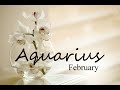 AQUARIUS Love Tarot - WOW, WOW, WOW, the energies! Stepping into your power for union!!
