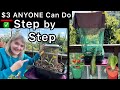 How to build a raised bed 3 container garden grow zucchini  dollar store basket easy small spaces