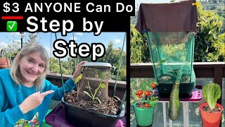 How To Build a RAISED BED $3 Container Garden Grow Zucchini + Dollar Store Basket Easy Small Spaces