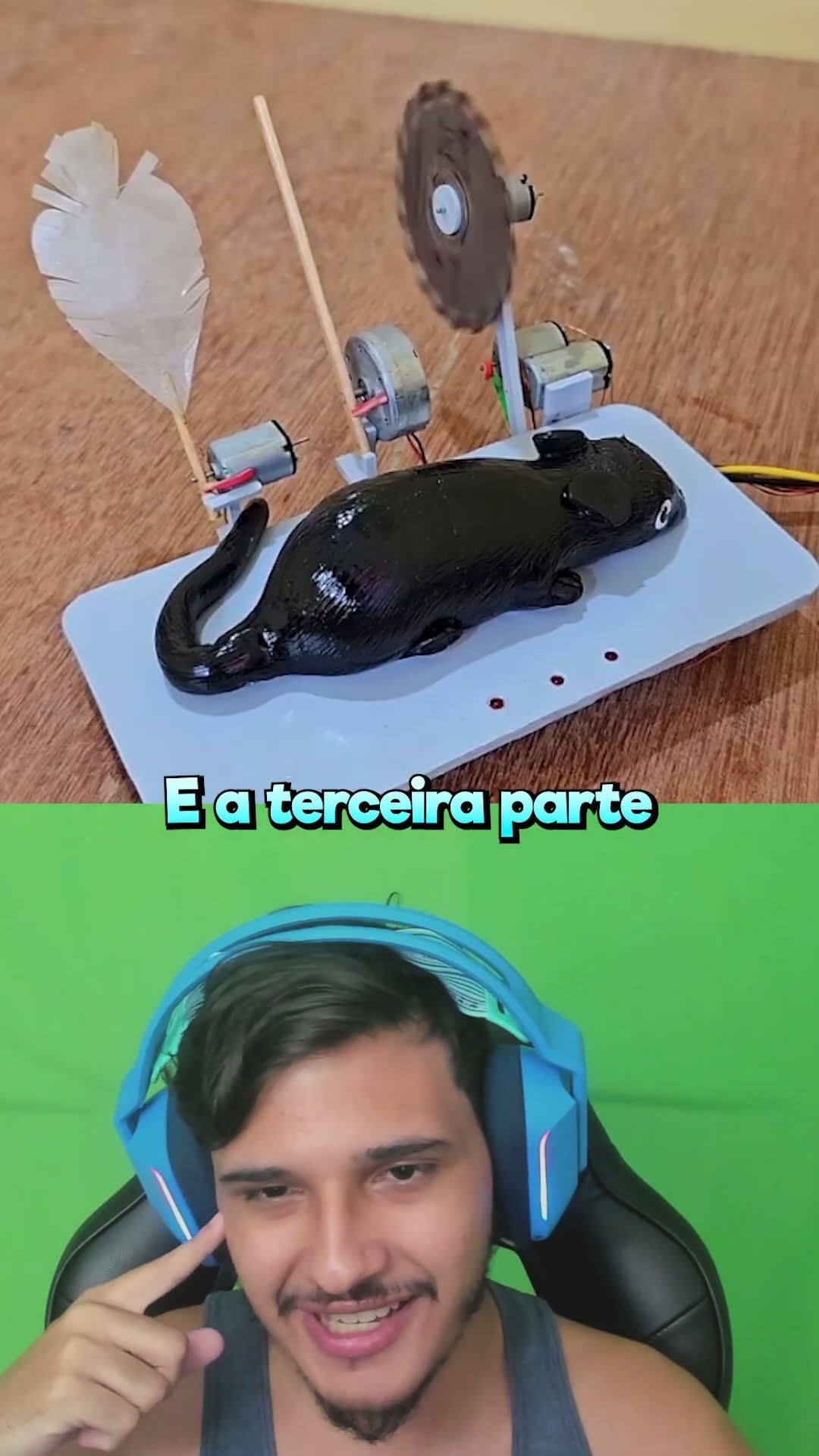 A Armadilha Mais INSANA