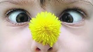 КАК ВЫЛЕЧИТЬ АЛЛЕРГИЮ спреями компании Alivemax элайфмакс эливемакс КАК ВЫЛЕЧИТЬ АЛЛЕРГИЮ спреями компании Alivemax элайфмакс эливемакс