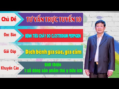 PGS.TS PHẠM NGỌC THẠCH | Chủ đề tư vấn trực tuyến 10