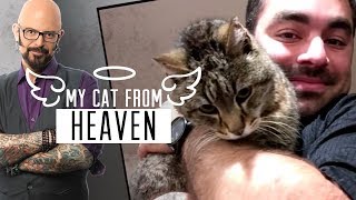 This My Cat From Hell Cameraman Couldn't Leave Without Adopting a Kitty Of His Own
