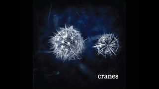 CRANES - Panorama