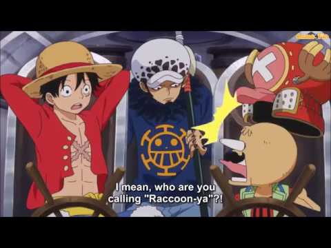 one-piece-funny-moment---law-call-chopper-as-raccoon-in-twice